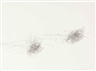 William Anastasi, Untitled