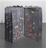 Anselm Kiefer, Star Book