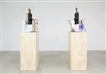 Rachel Harrison - Galerie Meyer Kainer