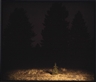 David Claerbout, NIGHTSCAPE LIGHTBOX (FOURTH)