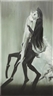 Cris Brodahl, The Walk