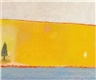 Amy Sillman, Miniature Illinois