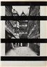 Wade Guyton, Untitled