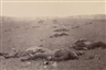 Photography and the American Civil War - The Metropolitan Museum of Art
