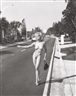 Steven Meisel, Madonna Hitching