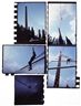 Gordon Matta-Clark: Above and Below - David Zwirner, 519 West 19th Street