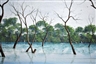 Kym Hart, Untitled