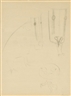 Morris Graves, Birds Masking