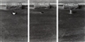 Sophie Calle, Les Tombes (Father, Mother, Brother)