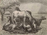 John Steuart Curry, Sanctuary