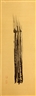 Tom Marioni, Peking