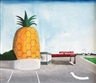 South of no North: Laurence Aberhart, William Eggleston, Noel McKenna - Museum of Contemporary Art, Sydney