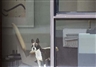 Arne Svenson:  The Neighbors - Julie Saul Gallery