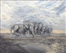 Matt Johnson, PRIDE OF ELEPHANTS