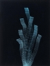 Oskar Fischinger, Weaving