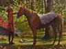 Doug Hall, The Painted Horse