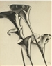 Photographs - Sotheby's New York