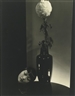 Edward Steichen, ANNA MAY WONG