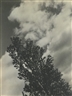 Alfred Stieglitz, SONG OF THE SKY AND TREES
