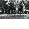 Lee Friedlander, Hollyhocks, Taos, New Mexico, 1974