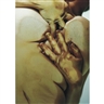 Jenny Saville, Closed Contact