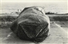 Robert Frank, Malibu Beach' (Covered Car)