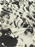 László Moholy-Nagy, In The Sand