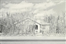 Henry Wessel, Tucson, Arizona