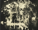 Untitled (Deep South #32)