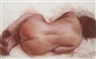 Stephen Conroy, LIFE STUDY III