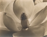 Fine Photographs & Photobooks - Swann Auction Galleries