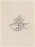 Hans Bellmer, Les Mains de Francoise Luchaire
