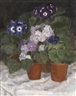 Maria Caspar-Filser, Flieder-Primeln und Cinerarien