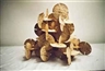 Damián Ortega, Módulo de construccíon con tortillas II (Building module with tortillas II)
