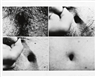 Vito Acconci, Openings