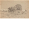 John Henry Hill, John William Hill, 7 Works: Birch; Bethel, Maine; Young Ash & Elm; Birch in Forest; Cliff Along the Water; Pine Gray; Three Birches
