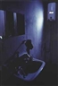 David Claerbout, Geiser