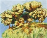 Sigrid Holmwood, Yellow Cake Hill