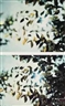 Thomas Demand, Flare (Detail #18, 19)