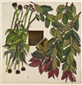 Jennifer Bartlett, 213D & 219F, from Homan-ji Series