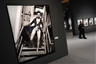 Exhibition at Museum of Fine Arts in Budapest displays 250 photographs by Helmut Newton