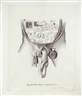 Robert Watts, Egyptians had a word for it
