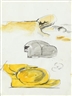 Graham Sutherland, Senza Titolo