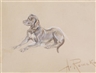 Anton Romako, A study of a dog