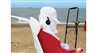 Martin Parr: Life’s a Beach - Aperture Foundation
