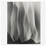 Arthur Siegel, Untitled photogram