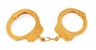 Sylvie Fleury, Gucci Handcuffs