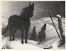 Grant Wood, February