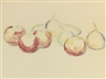 Paul Cézanne, POMMES ET POIRES