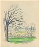 Paul Cézanne, ARBRE DÉPOUILLÉ AU JAS DE BOUFFAN